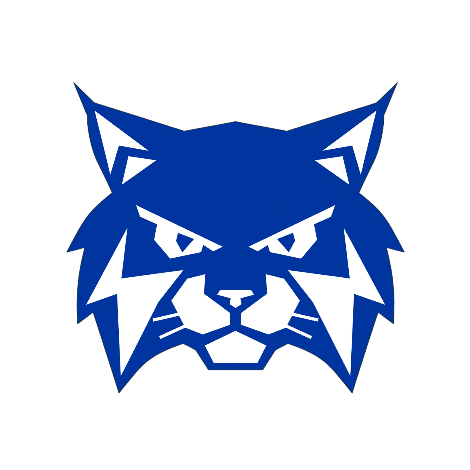 Kentucky Wildcats